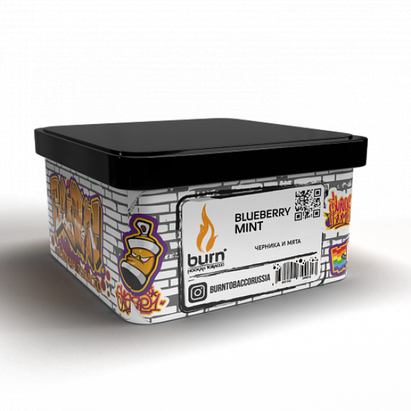 Табак BURN BLUEBERRY MINT 200 грамм в Хабаровске