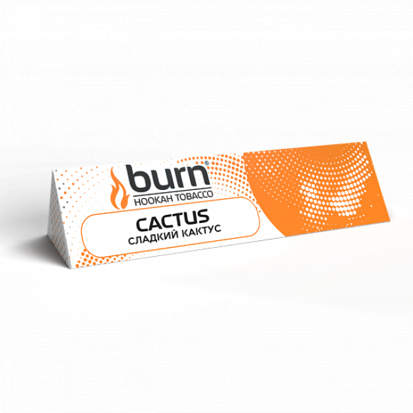 Табак BURN CACTUS 25 грамм в Хабаровске