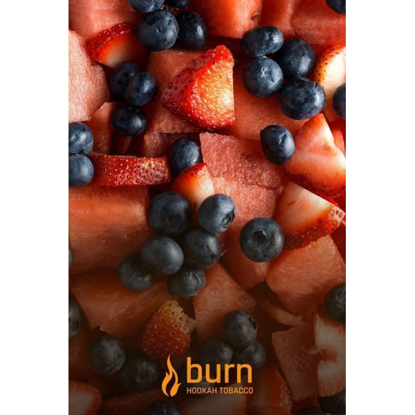 Табак Burn Berried Treasure 100 грамм в Хабаровске