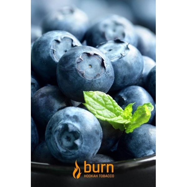 Табак Burn Blueberry Mint 100 грамм в Хабаровске