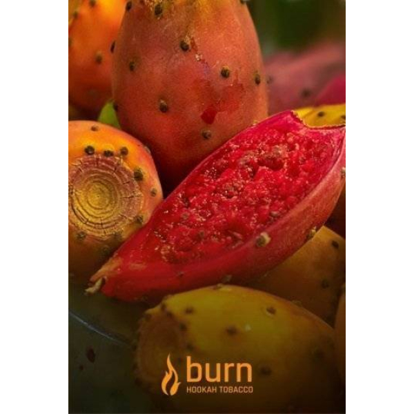 Табак Burn Cactus 100 грамм в Хабаровске