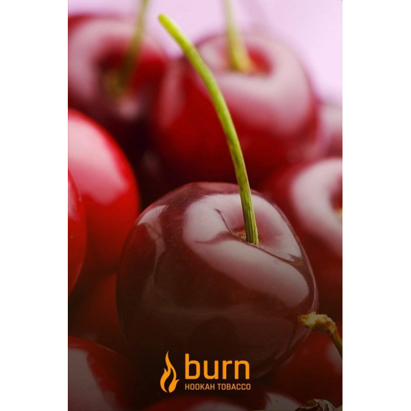 Табак Burn Candy Cherry 100 грамм в Хабаровске