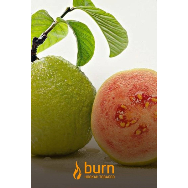 Табак Burn Guava 100 грамм в Хабаровске