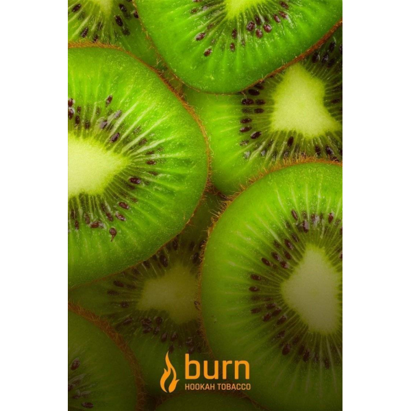 Табак Burn Kiwi 100 грамм в Хабаровске