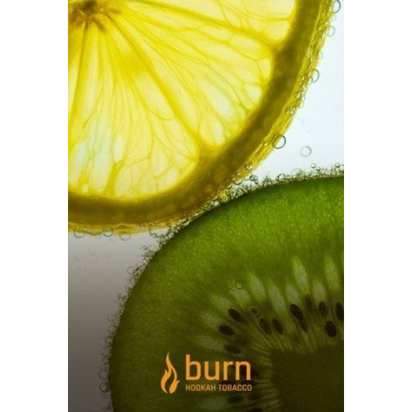 Табак Burn Kiwi Lemon 100 грамм в Хабаровске