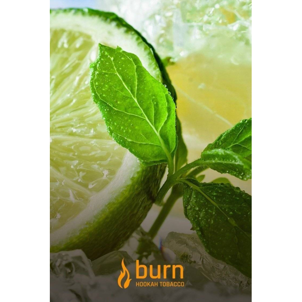 Табак Burn Lemon Mint 100 грамм в Хабаровске