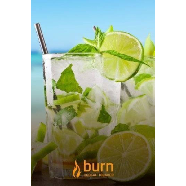 Табак Burn Mojito 100 грамм в Хабаровске