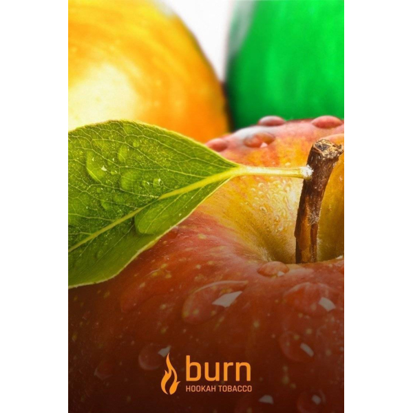 Табак Burn Three Apples 100 грамм в Хабаровске