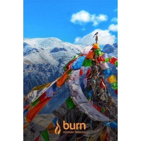 Табак Burn Tibet 100 грамм в Хабаровске