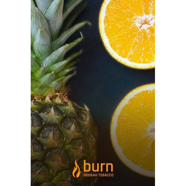 Табак Burn White Night 100 грамм в Хабаровске