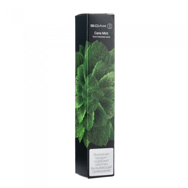 SOAK S Cane Mint (Тростниковая мята), 2500 тяг в Хабаровске