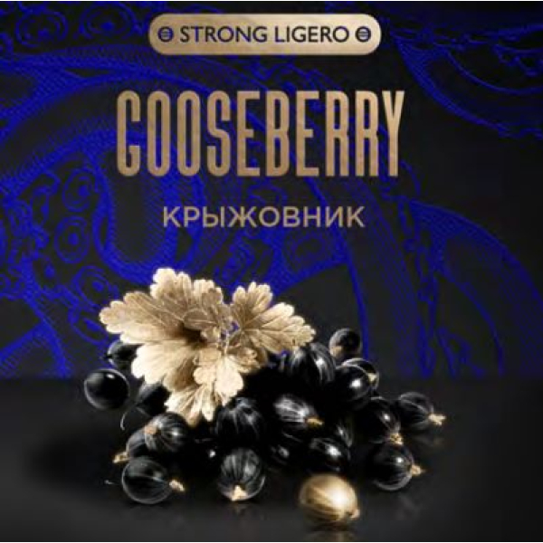 Табак Kraken Strong Gooseberry (Крыжовник) 100 гр в Хабаровске