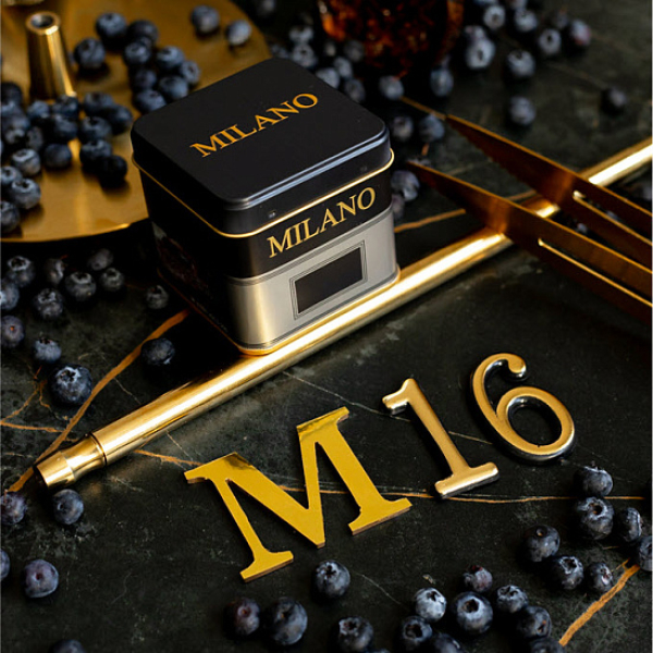 Табак MILANO GOLD М16 BILBERRY 100 гр в Хабаровске