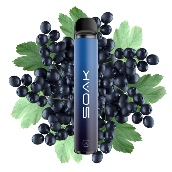 SOAK X Forest Blackcurrant (Лесная черная смородина), 1500 тяг в Хабаровске