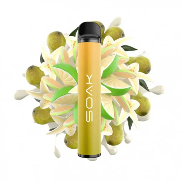 SOAK X Vanilla Pear (Ванильная груша с лаймом), 1500 тяг в Хабаровске
