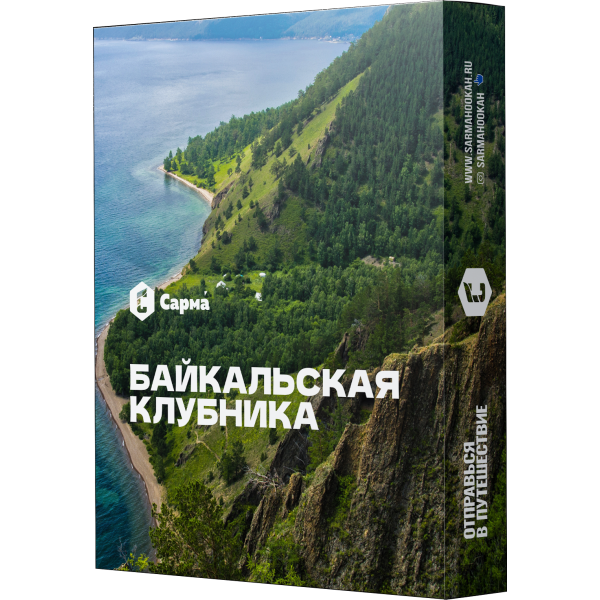 Табак Сарма Байкальская Клубника 25 гр в Хабаровске