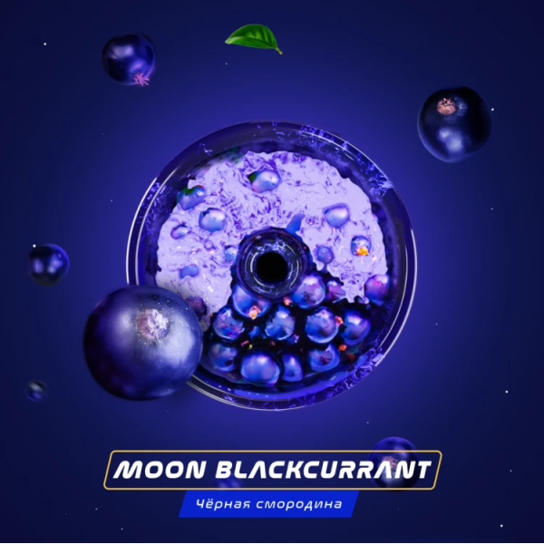 Паста Space Smoke BASIC Moon  Blackcurrant (Черная  смородина) 125 гр в Хабаровске