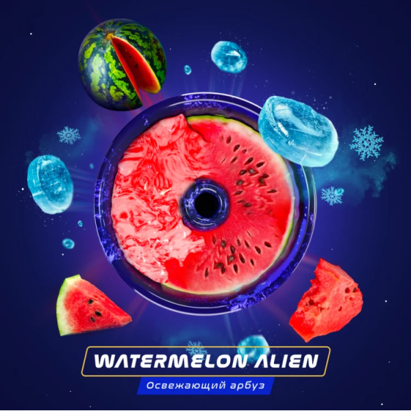 Паста Space Smoke BASIC Watermelon  Alien (Арбуз с  холодком) 30 гр в Хабаровске