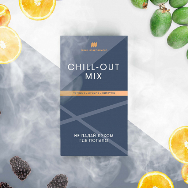 Табак Шпаковского Chill Out (Ежевика Фейхоа Цитрусы) 40 грамм в Хабаровске