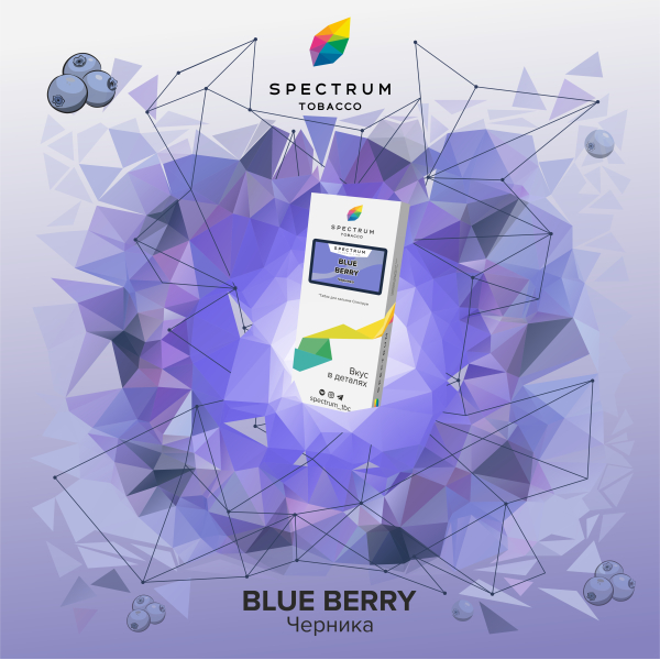 Табак Spectrum Classic Blue Berry 100 грамм в Хабаровске
