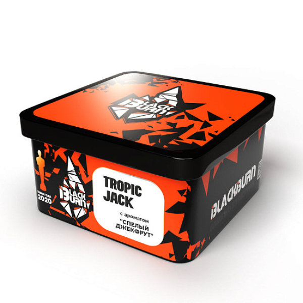 Табак BlackBurn Tropic Jack (Спелый джекфрут) 200 гр в Хабаровске