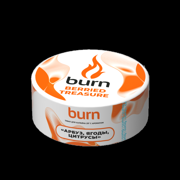 Табак Burn Berried Treasure  25 грамм в Хабаровске