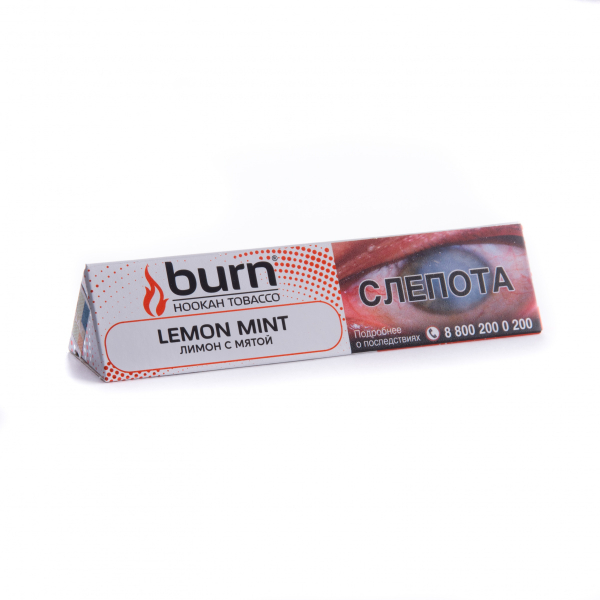 Табак Burn Lemon Mint  25 грамм в Хабаровске
